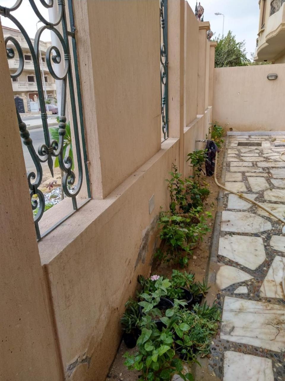 259 Alyasmeen 5 Apartment
